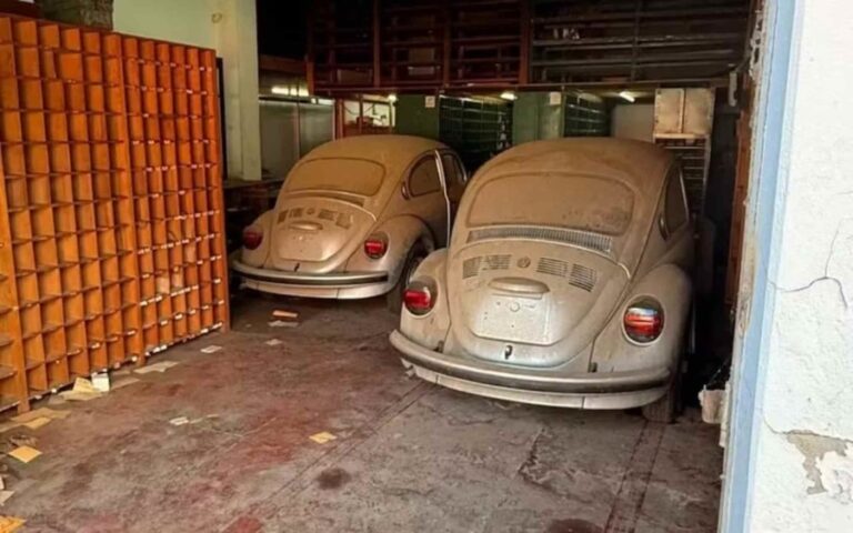 1742315392_1-fusca-itamar-22171834-1536x960-1.jpg
