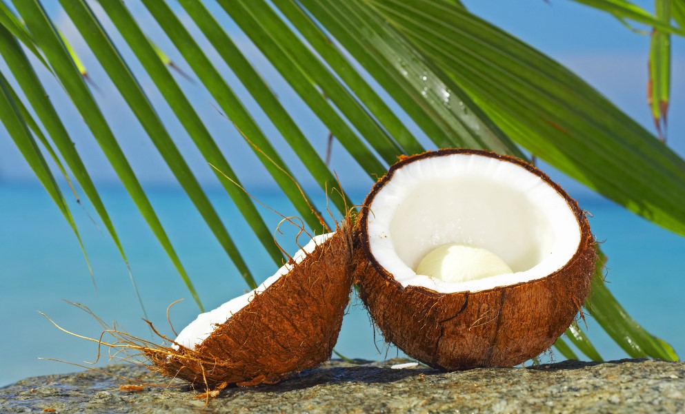 До чого сниться кокос