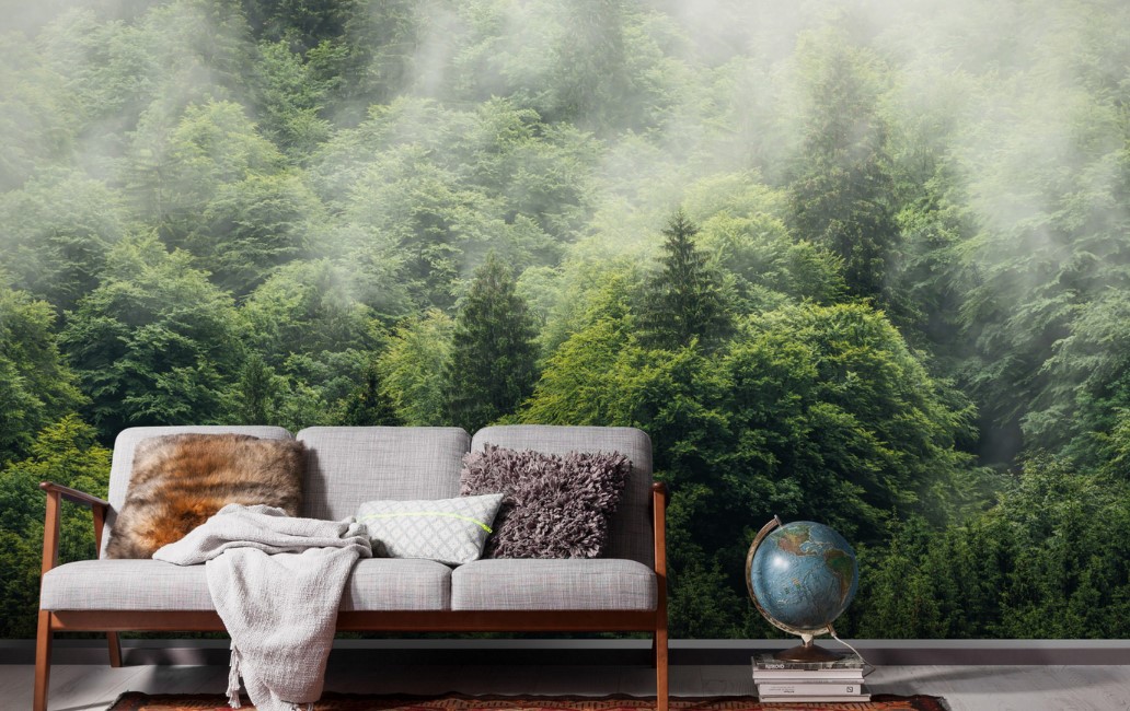 Фотошпалери – гармонія естетики та функціональності