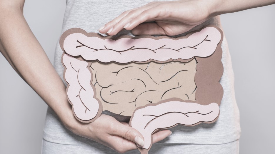 Що таке перистальтика і як працює
